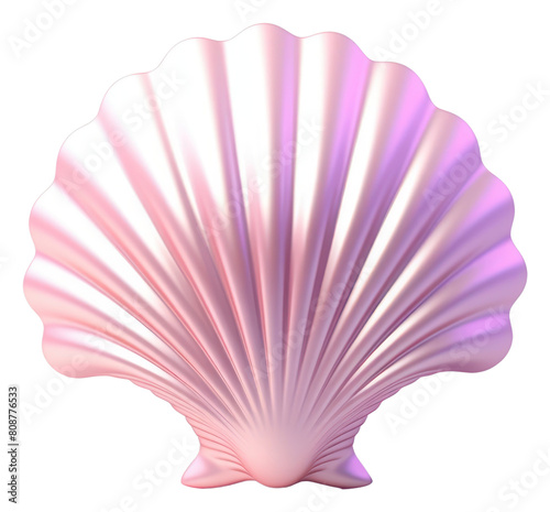 PNG Seashells clam invertebrate pattern.