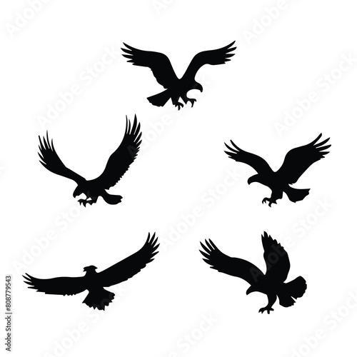 eagle download vector silhouette design logos