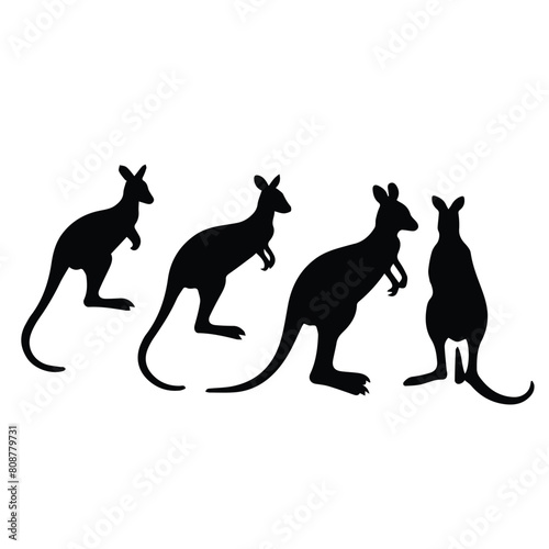 kangaroo download vector silhouette design logos