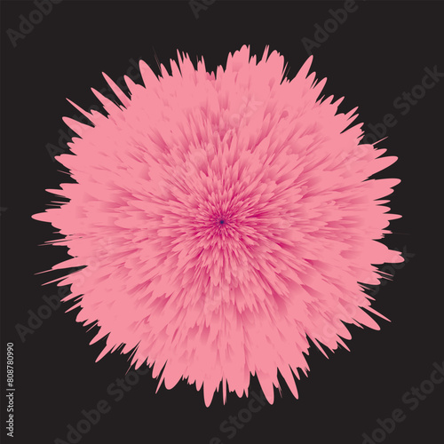 Closeup. big shaggy flower. for design. Dahlia. eps10
