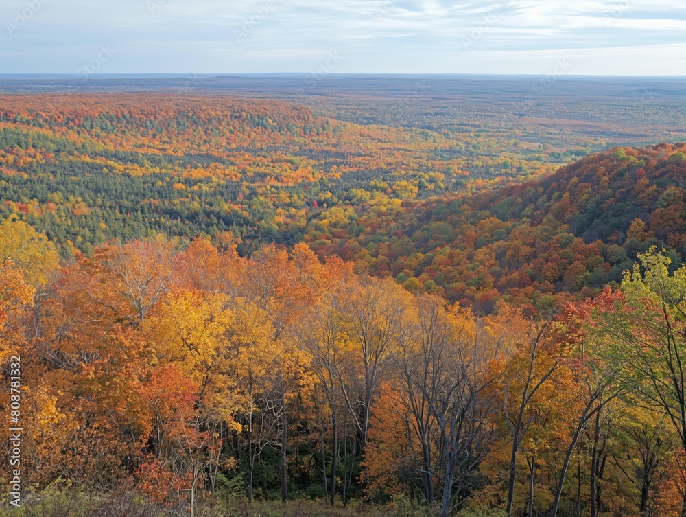 A beautiful autumn landscape with trees in various shades of orange and brown. The trees are scattered throughout the area, with some in the foreground and others in the background. The sky is clear