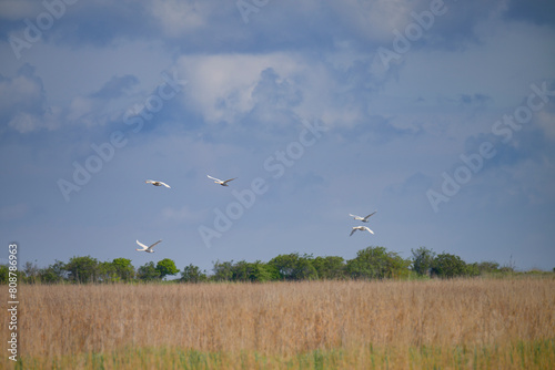 Ostseebad Kühlungsborn © AS-Fotoart