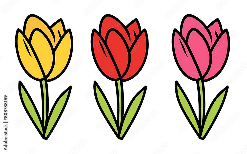 tulips isolated on white tulips isolated on white