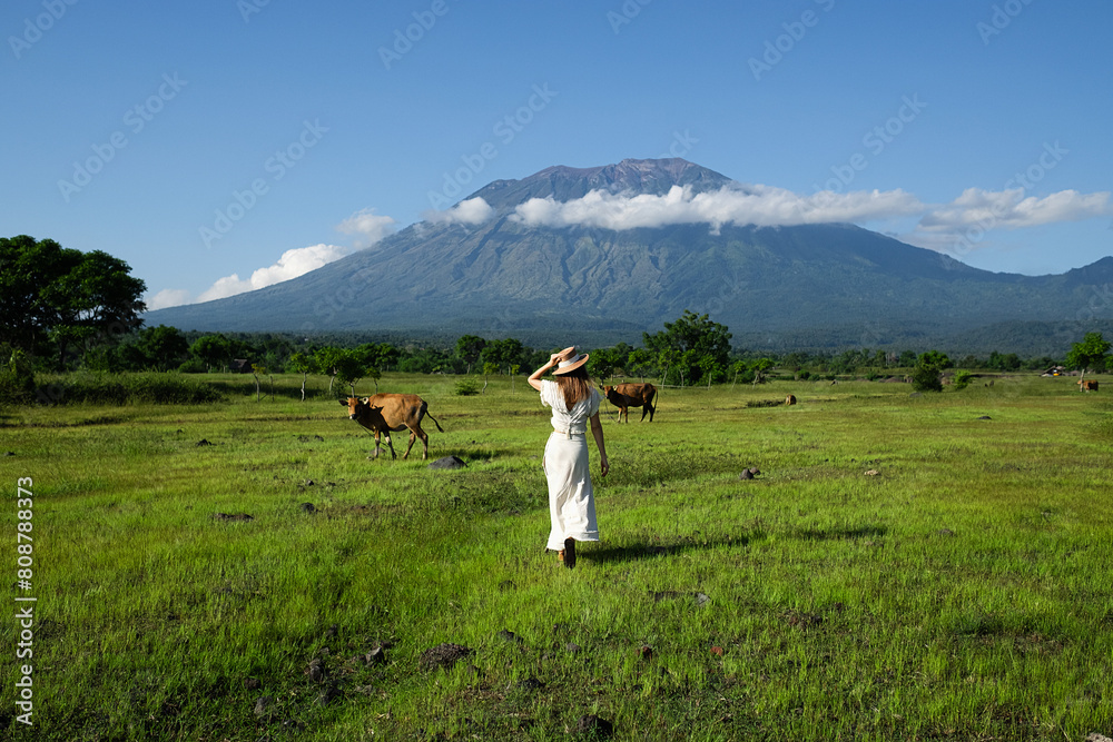 A young girl, wearing a hat and a white dress, stands on a green meadow with cows and admires the view of the mountain - Agung Volcano. A young girl, wearing a hat and a white dress, stands on a green meadow with cows and admires the view of the mountain - Agung Volcano.