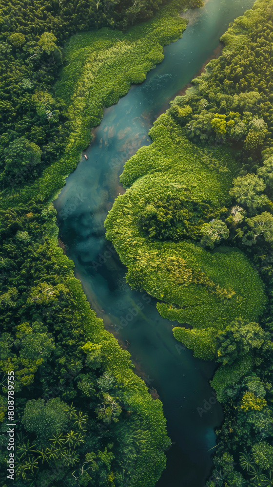 A river with green plants on both sides