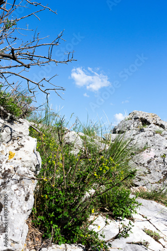 limestone rocks in karst land