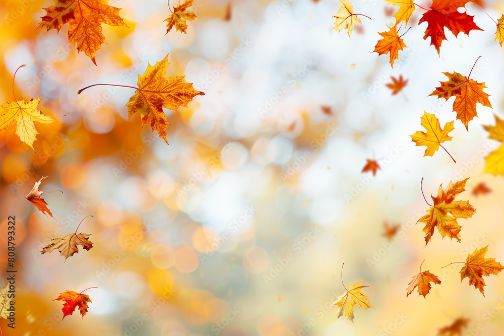 autumn leaves background autumn leaves background