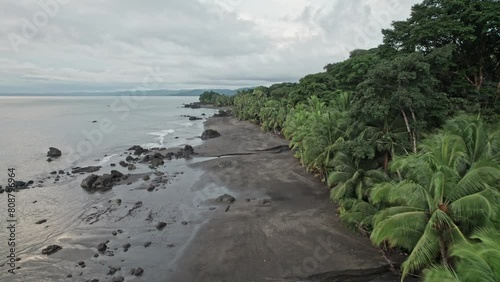 Black sandy beach next to rainforest and no people photo