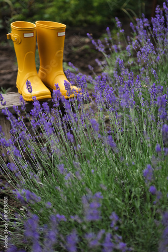 lavender and yellow rubber boots