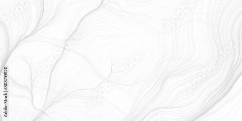 White grunge wooden, etched into panorama of clean modern polished metal. White curved lines, strokes on soft lines vector. earth map geography scheme, topography vector design.  desktop wallpaper. photo