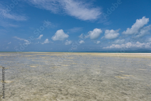 干潮時に現れるコンドイビーチの真っ白な砂洲