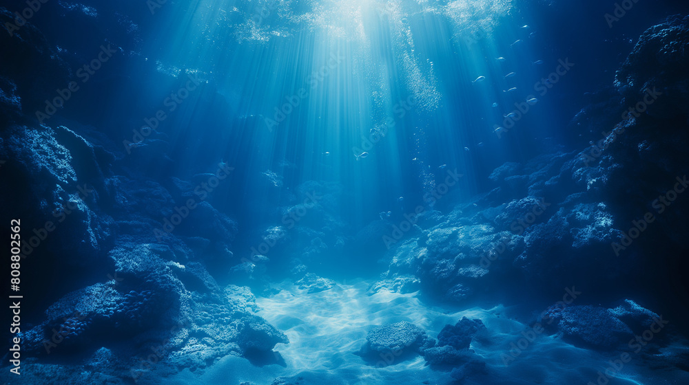 Underwater Enchantment: Exploring the Wonders of the Deep Blue Sea