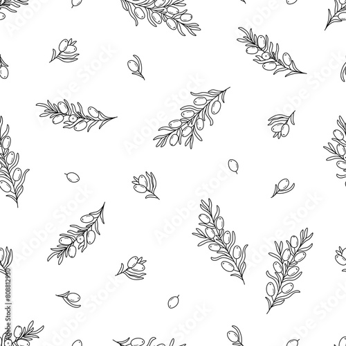 Seamless pattern sea buckthorn branches. Vector illustration of a healing edible berry. Background wallpaper