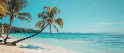 white sandy beach with blue water with coconut trees  clear blue sky and calm waves under natural sunlight during the day 
