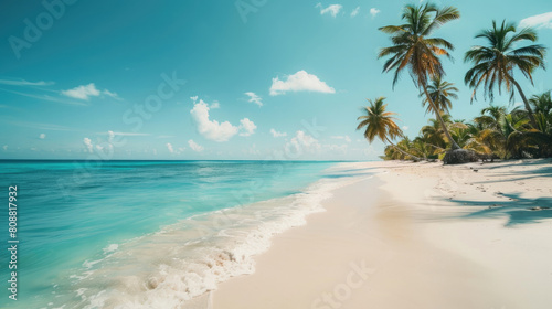 white sandy beach with blue water with coconut trees, clear blue sky and calm waves under natural sunlight during the day