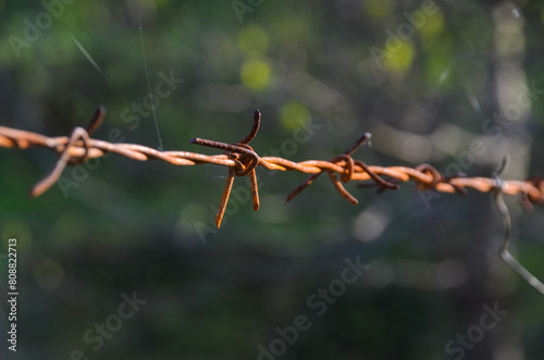 Rusted barbed wire, close up. Rusty metal wire fence. Symbol of concentration camp, prison, jail, borders. 