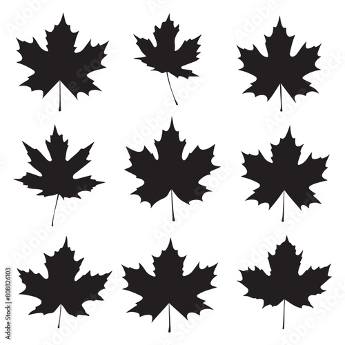 Maple leaf black silhouette set. Autumn forest maple leaf icon illustration
