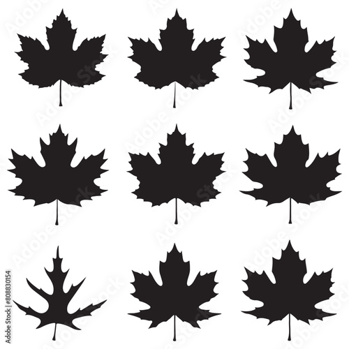 Maple leaf black silhouette set. Autumn forest maple leaf icon illustration
