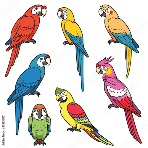 Colorful cartoon parrots illustrated, various parrot species standing, tropical birds collection isolated white background. Bright plumage, exotic avian illustrations, macaw, cockatoo, lovebird