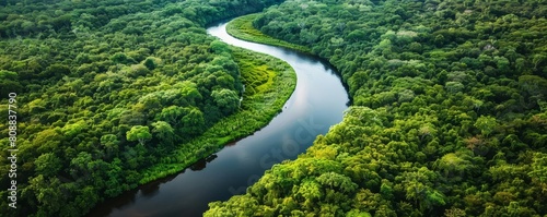 Aerial view of a winding river flowing through a lush green forest, the water perfectly mirroring the vibrant foliage and sky