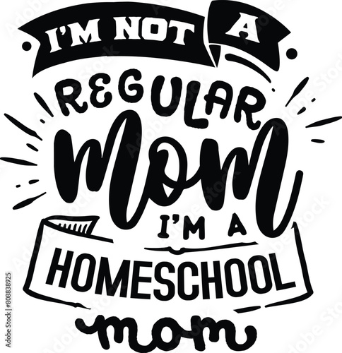 I'm not a regular mom 