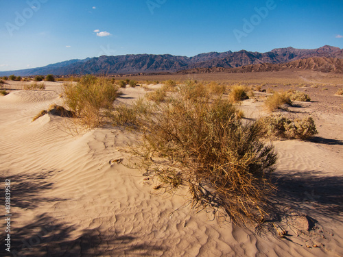 Sand dunes, Stovepipe Wells, Death Valley