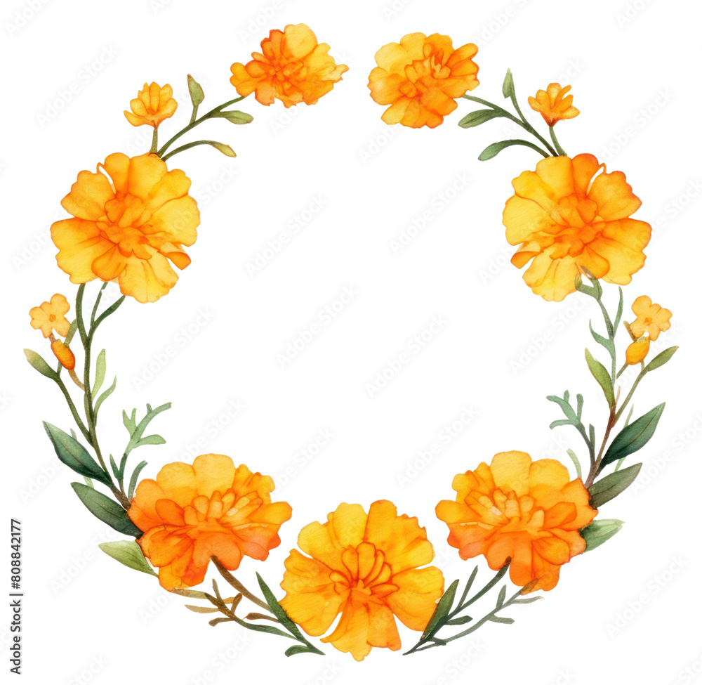 Fototapeta premium PNG Marigold cercle border flower wreath plant.
