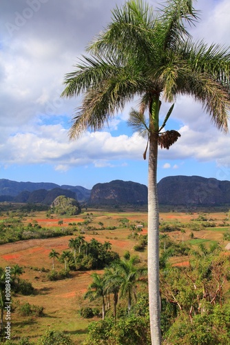 Cuba Vinales landscape