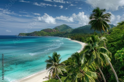 Azure sky  palm tree  fluid ocean a tropical beach paradise