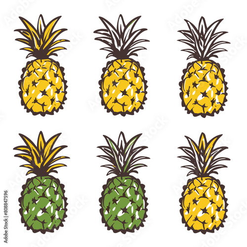 Set six handdrawn pineapples, alternating colors, tropical fruit design. Top row ripe yellow pineapples, bottom row features green unripe pineapples. Stylized illustration pineapples suitable