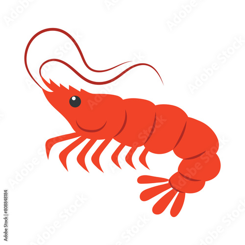 Hand drawn cartoon shrimp. Vector illustration of icon, logo