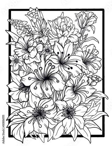 Botany, flowers, buds, leaves. On a white background. Coloring book