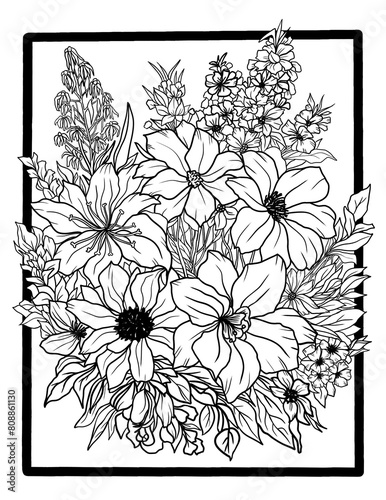 Botany, flowers, buds, leaves. On a white background. Coloring book