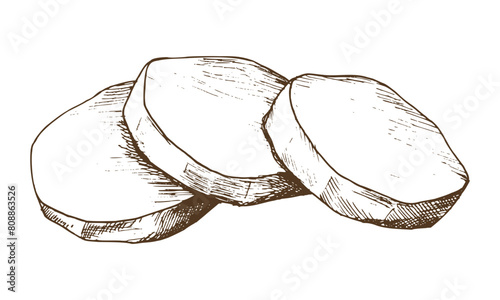 Peeled white potatoes, cut into round slices and folded into a pile. Graphic illustration hand drawn in brown ink line art on the theme of harvest, cooking, food, vegetable. Element EPS vector © NATASHA-CHU