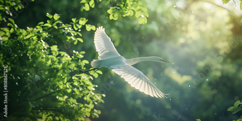 Great egret in the nature at sunset, bird in the nature ,Great Egret glides over water Made With Generative AI illustration. Great Egret makes short hop across stream. photo
