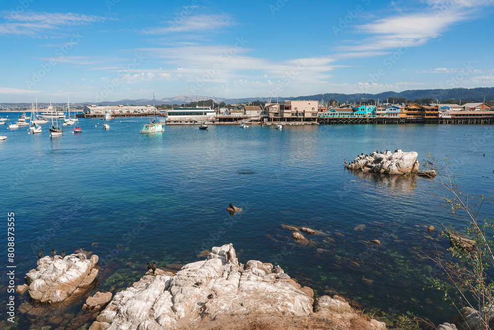 Serene coastal scene with rocky outcrops, birds, colorful boats in the bay, and waterfront buildings. Features rolling hills in the background. Beautiful Monterey.