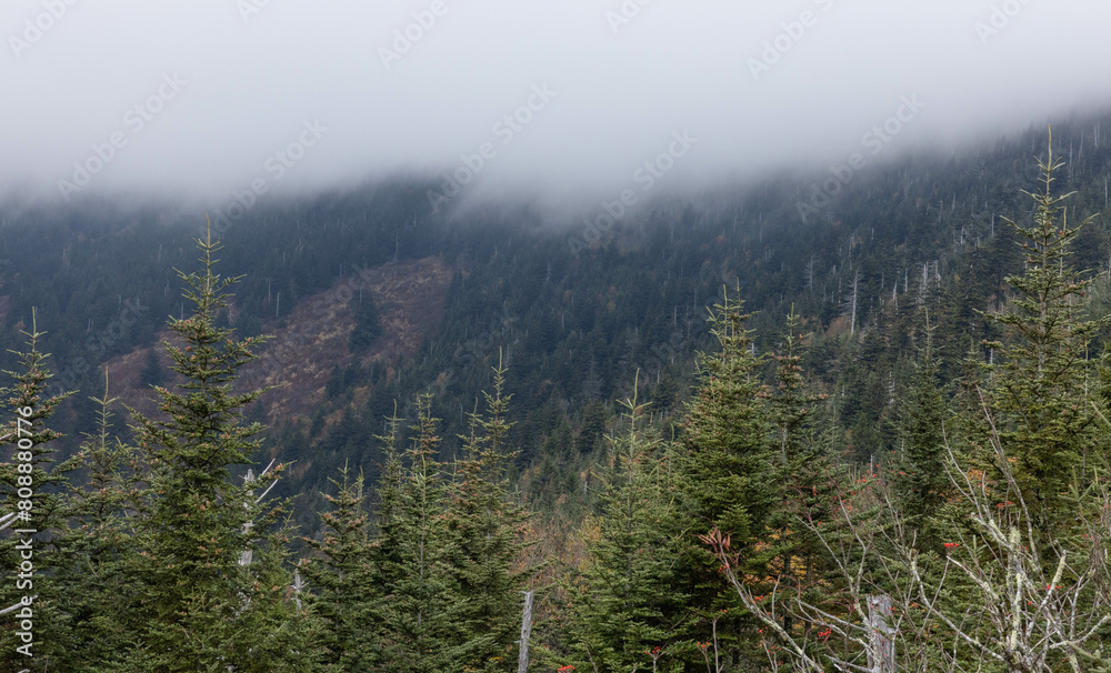 Obraz premium Great Smoky Mountains with low clouds
