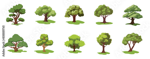 Cartoon tree vector set, collection of trees image with dense green leaves, natural tree plant design element for forest or garden
