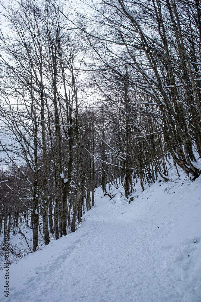 Camminata per il Monte Giovo, provincia di Modena, Emilia Romagna Camminata per il Monte Giovo, provincia di Modena, Emilia Romagna