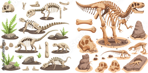 Dinosaur bones fossils. Reptile fossil in ground stone, cartoon lizard skeleton jurassic dinosaurs body bone for museum archaeology