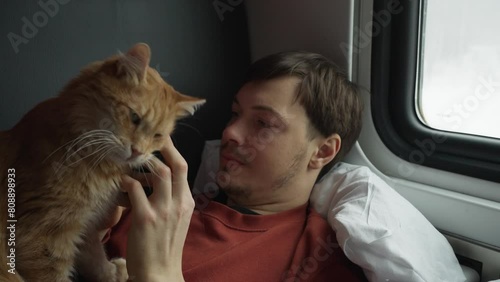 Young man lies on train seat, interacting with his orange cat, who is captivated by smartphone. Pet owner is traveling with his furry friend the cat.