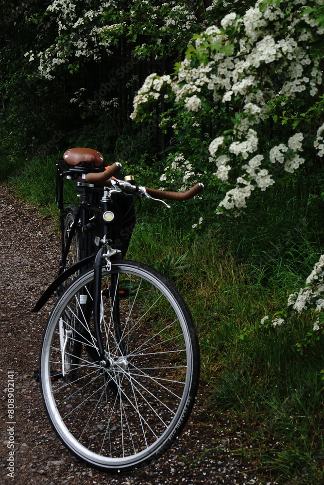 Classic Bike In A Rural Scene