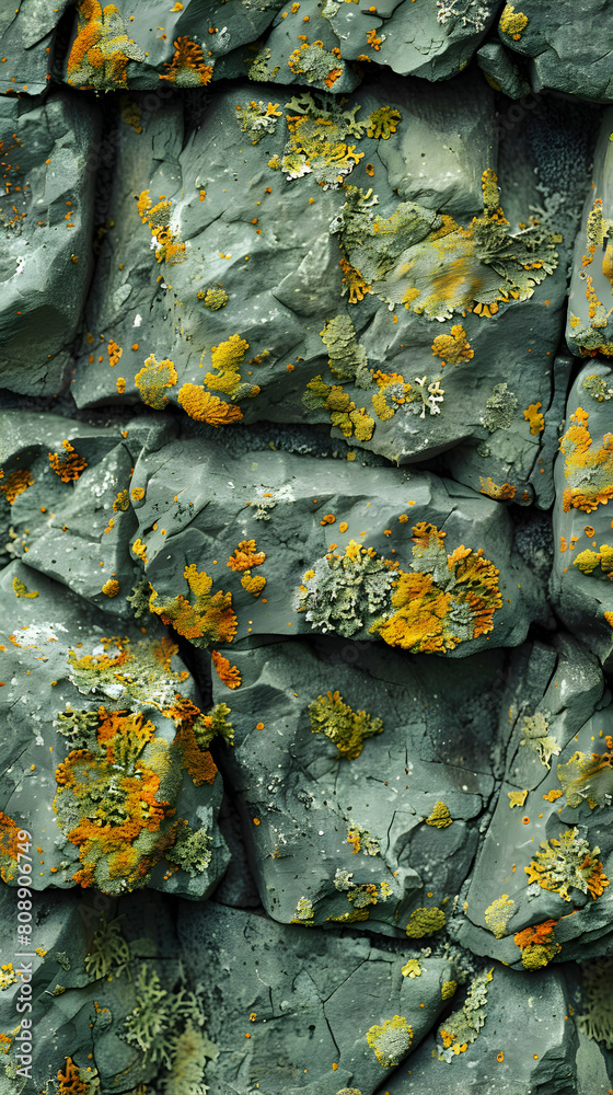 Macro shot of lichen patterns on rocky surfaces in forest environment demonstrating intricate interplay and symbiotic relationship in nature