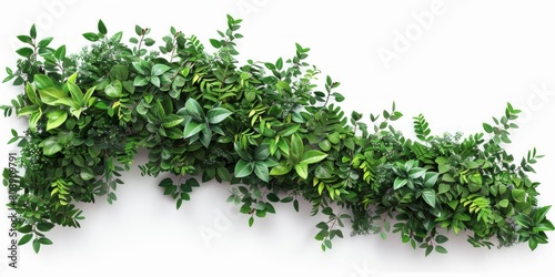 A long green plant with leaves and branches