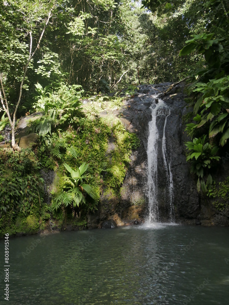 Cascade de bis : waterfall in the middle of a lush green forest, sainte rose, guadeloupe Cascade de bis : waterfall in the middle of a lush green forest, sainte rose, guadeloupe