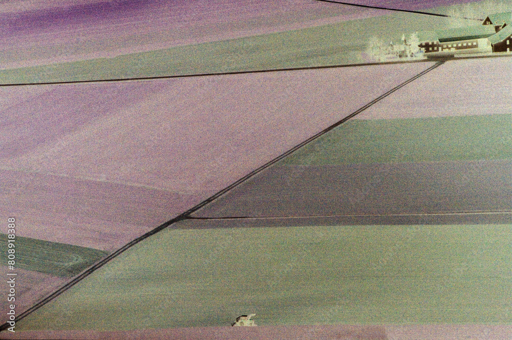 Fotografie flight over the filed, holland,