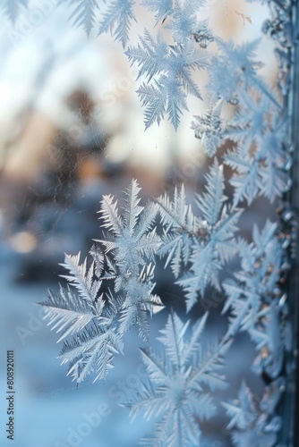 Ethereal Frost Patterns on Winter Windowpane