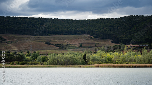 Overcast Day at the Lakeside Vineyard
