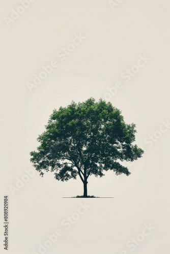 A solitary green tree stands against a minimalistic beige background, evoking a sense of calm © Rajesh
