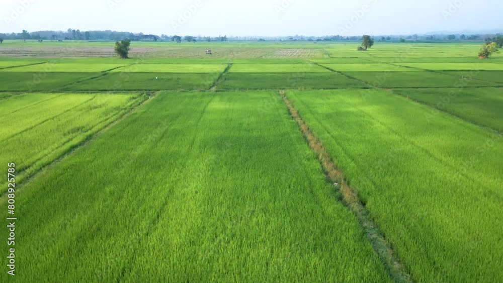 Rice fields, mountains of Thailand, Chingmai Rice fields, mountains of Thailand, Chingmai